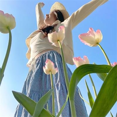 夏日假期玫瑰花